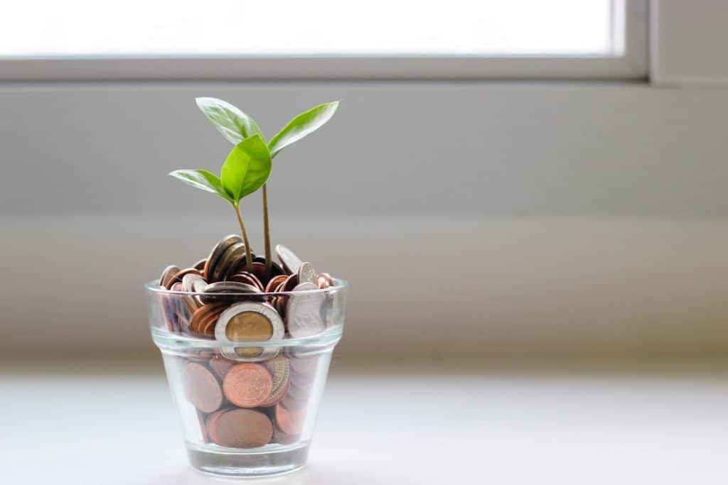 A glass pot that is filled with coins and a growing seedling.