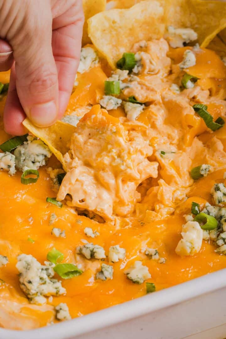 Woman's hand scooping cottage cheese buffalo chicken dip with a tortilla chip.
