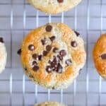 Overhead photo of a chocolate chip protein muffin on a wire rack to cool