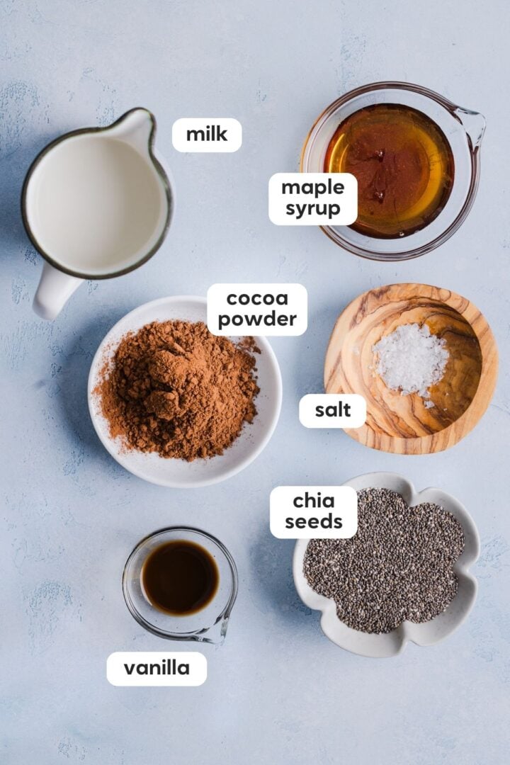 overhead photo of ingredients for chocolate chia pudding, displayed in small bowls on a light blue counter