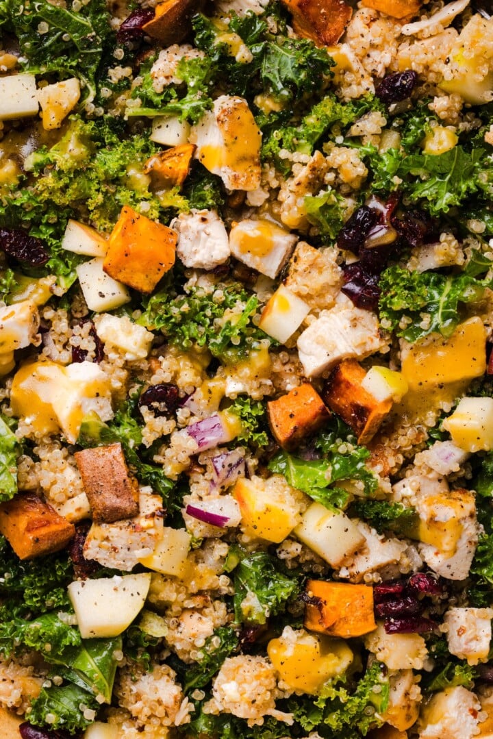 Fall harvest quinoa salad with kale, sweet potatoes, and chopped apple.